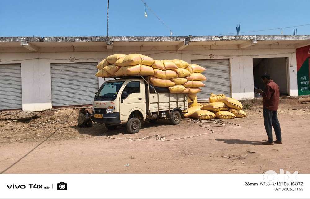 Brand Tata Model Ace Gold Petrol Age 2year
