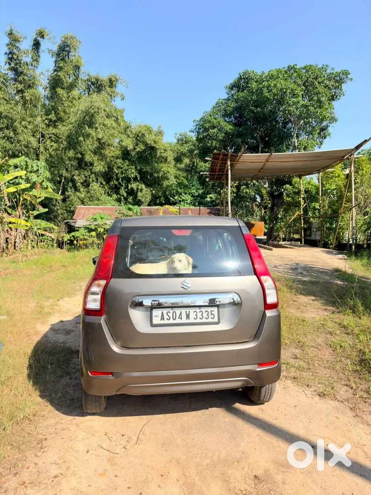 Maruti Suzuki Wagon R 2019 Petrol 39000 Km Driven