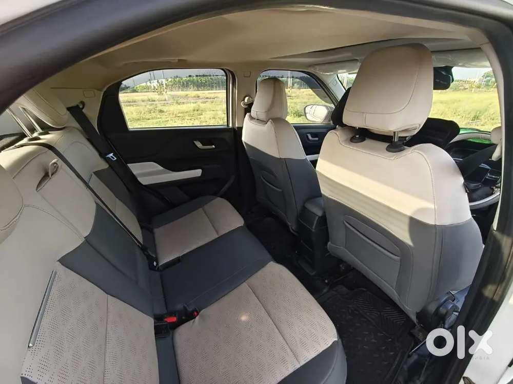 Tata Punch Ev 2024 Plus