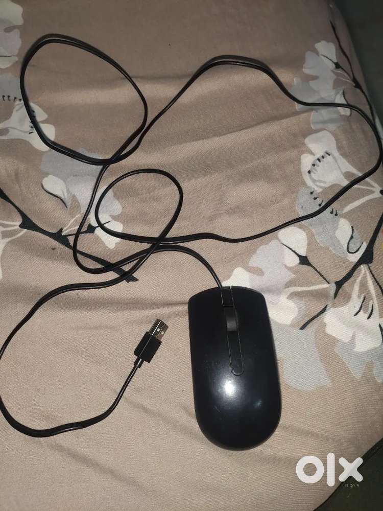 Normal Mouse