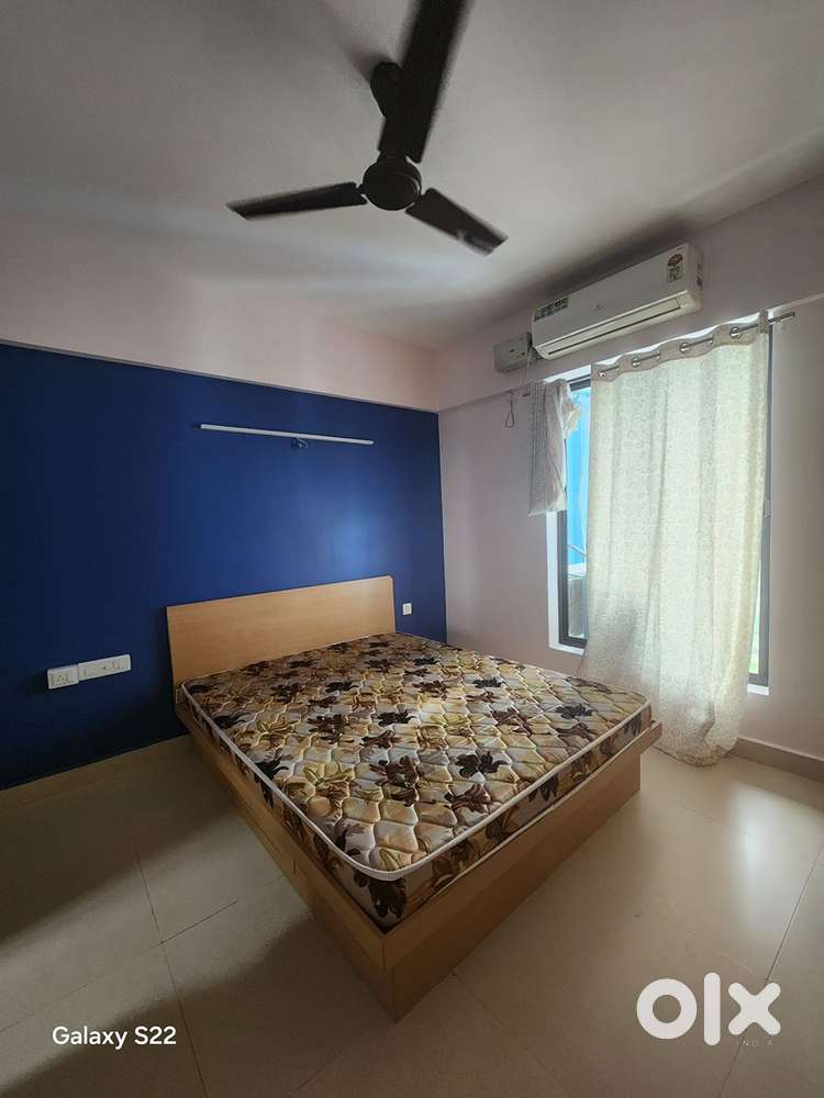 1BHK in Infopark