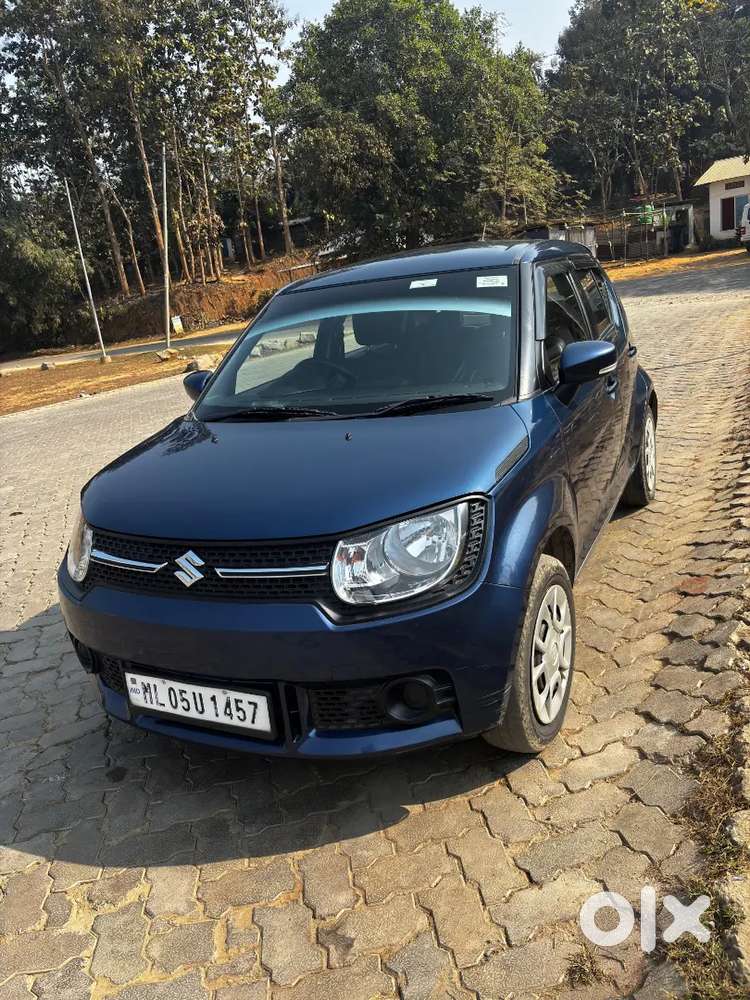 Maruti Suzuki Ignis 2019