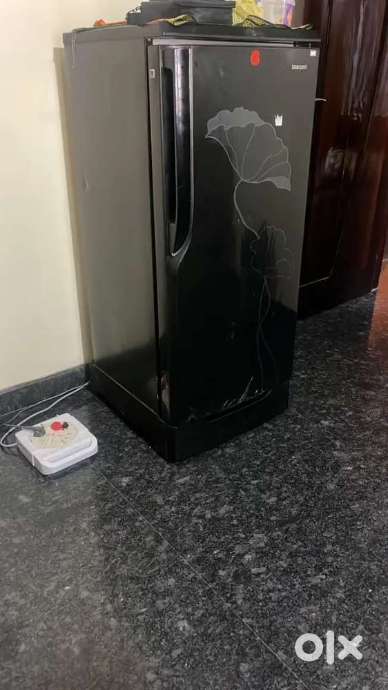 Samsung S/D fridge