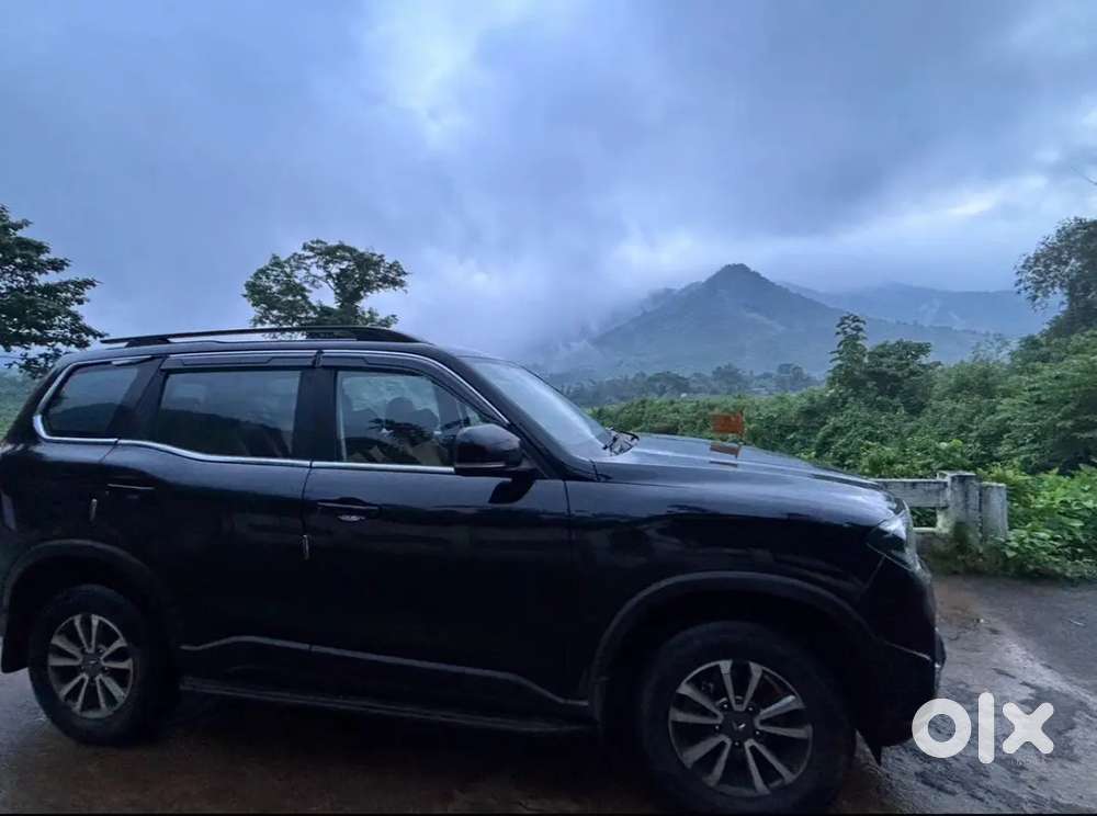 Mahindra Scorpio N 2025 Petrol 34000 Km Driven