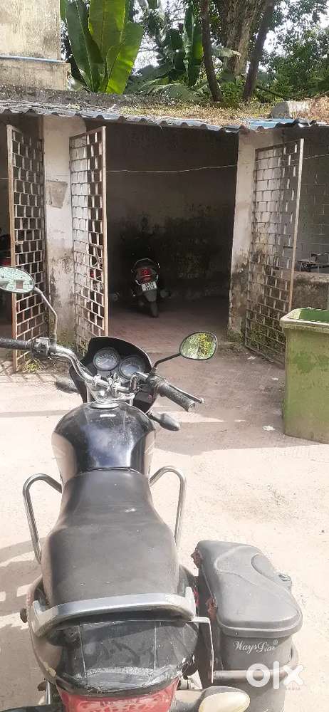 Honda Elevate Adv 2008