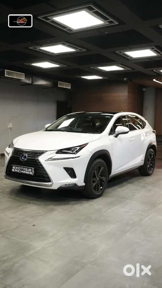 Lexus Nx, 2020, Petrol