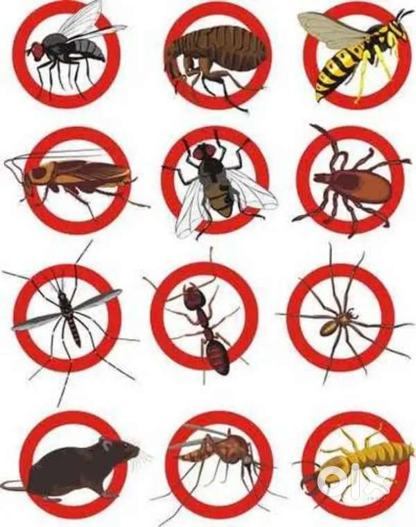 V2U PEST SERVICE