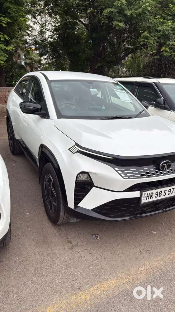 Tata Curvv Plus Petrol 2024