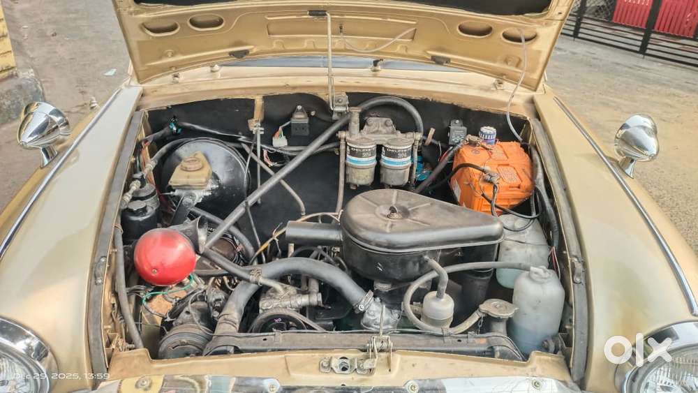 Ambassador Ambassador