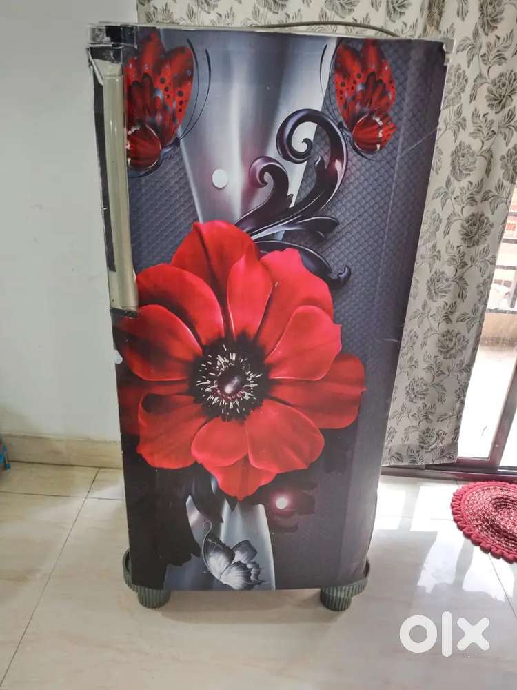 Fridge is in mint condition