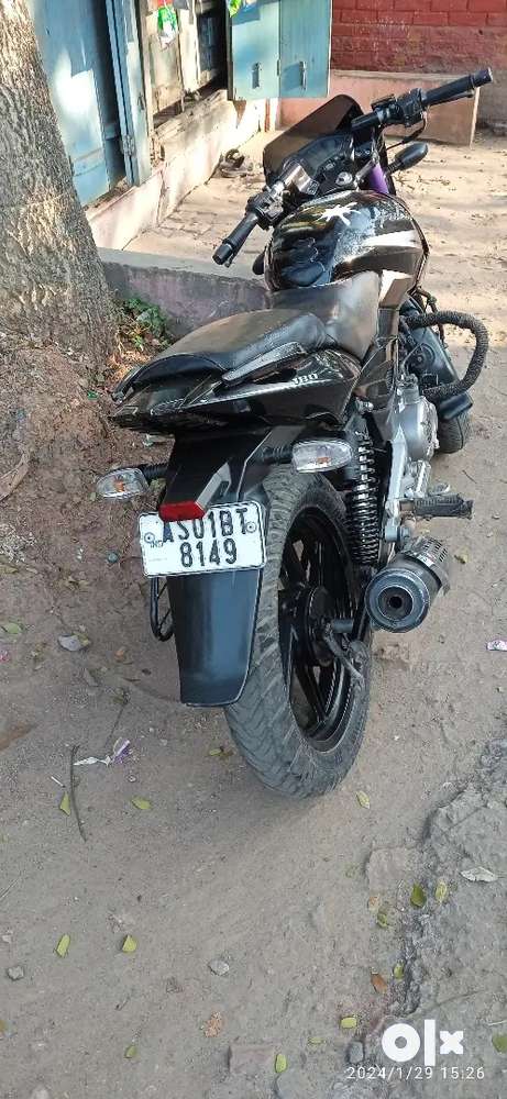 Olx bike best sale pulsar 180