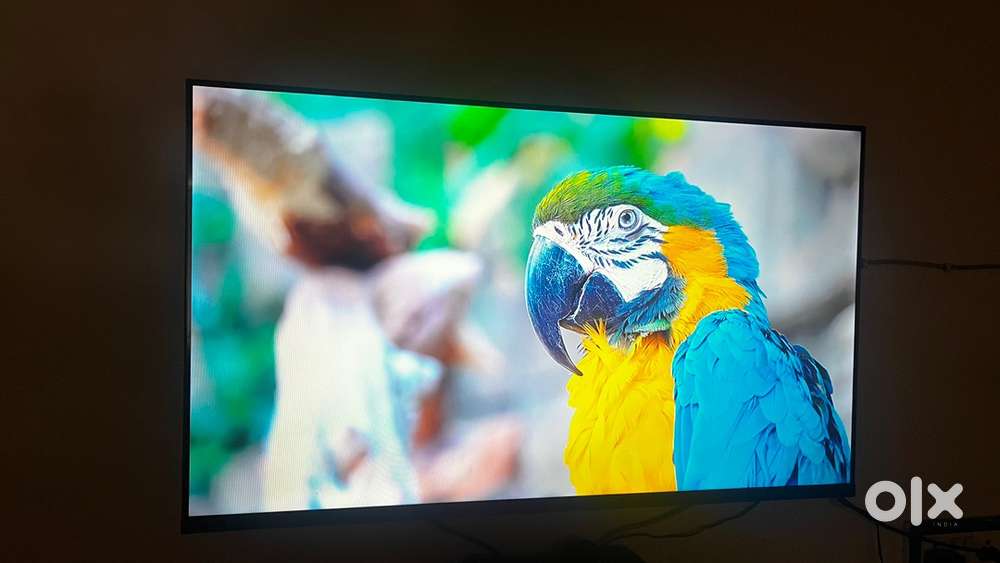 OnePlus Y Series 43 Inch Smart LED TV | Excellent Condition