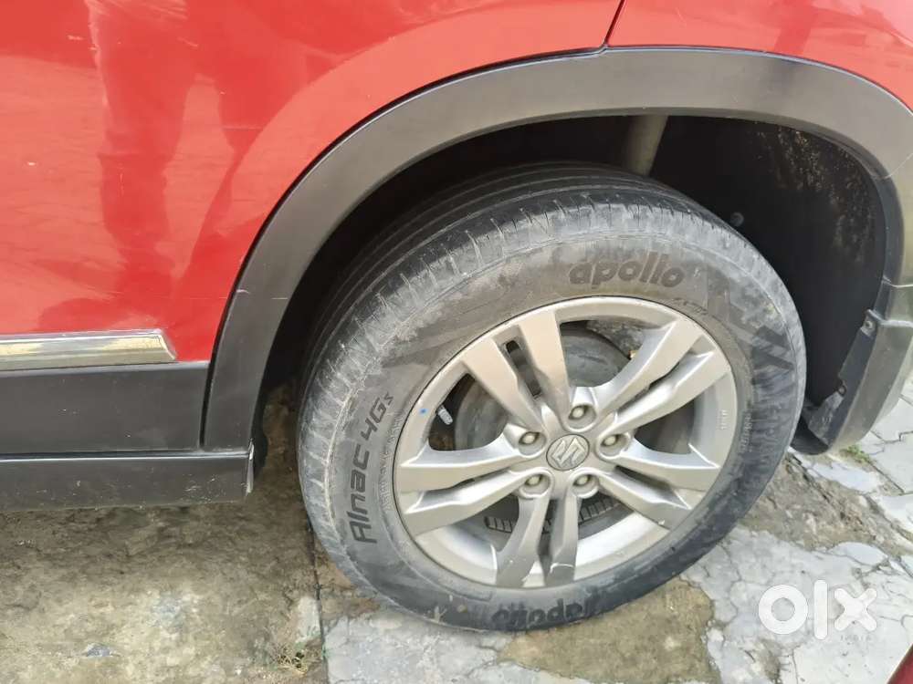 Gadi Running Very Safe