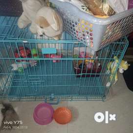 Olx pets deals