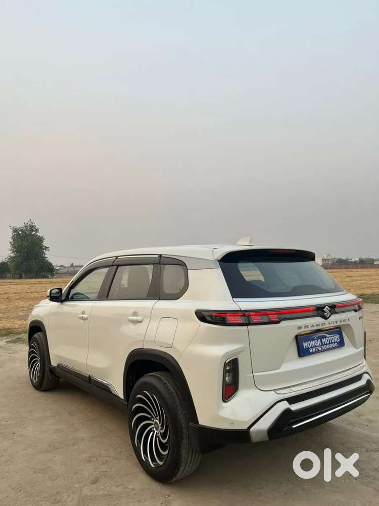 Maruti Suzuki Grand Vitara 1.5 Delta Smart Hybrid, 2024, Petrol