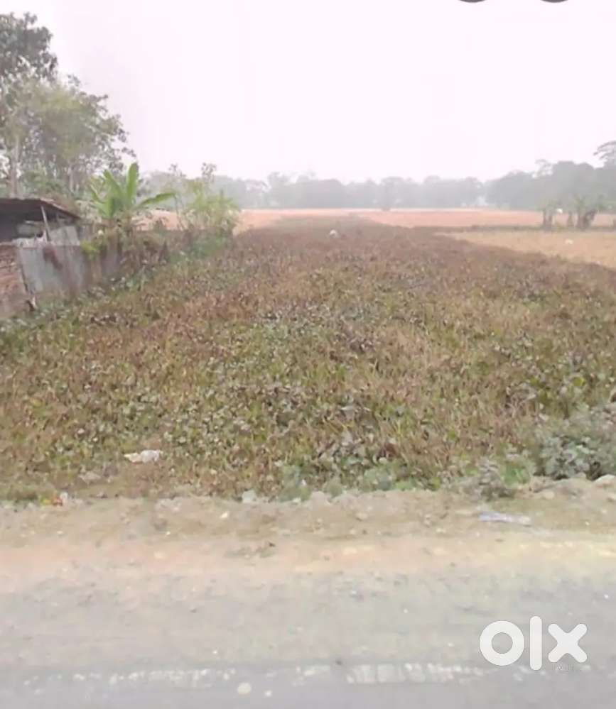Miyadi Land 4.5 km from Baihata Chariali towards Goressor Road