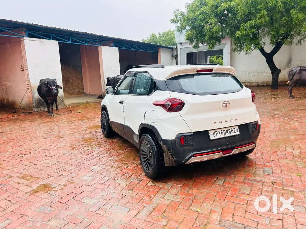 Tata Punch 2023 Cng +petrol