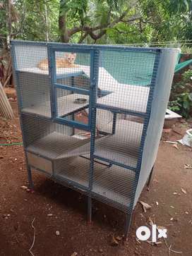 Cat cage olx hotsell