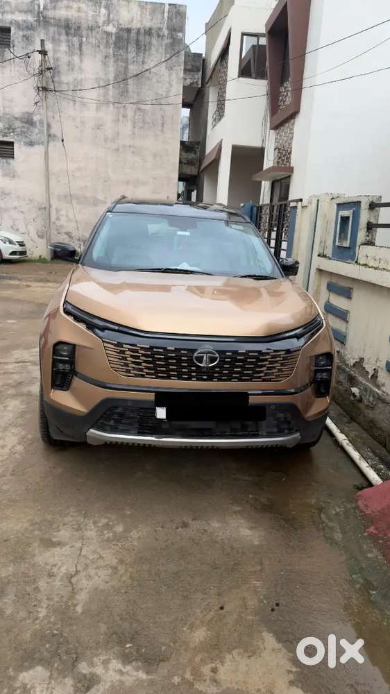 Tata Safari Accomplished Plus 2024