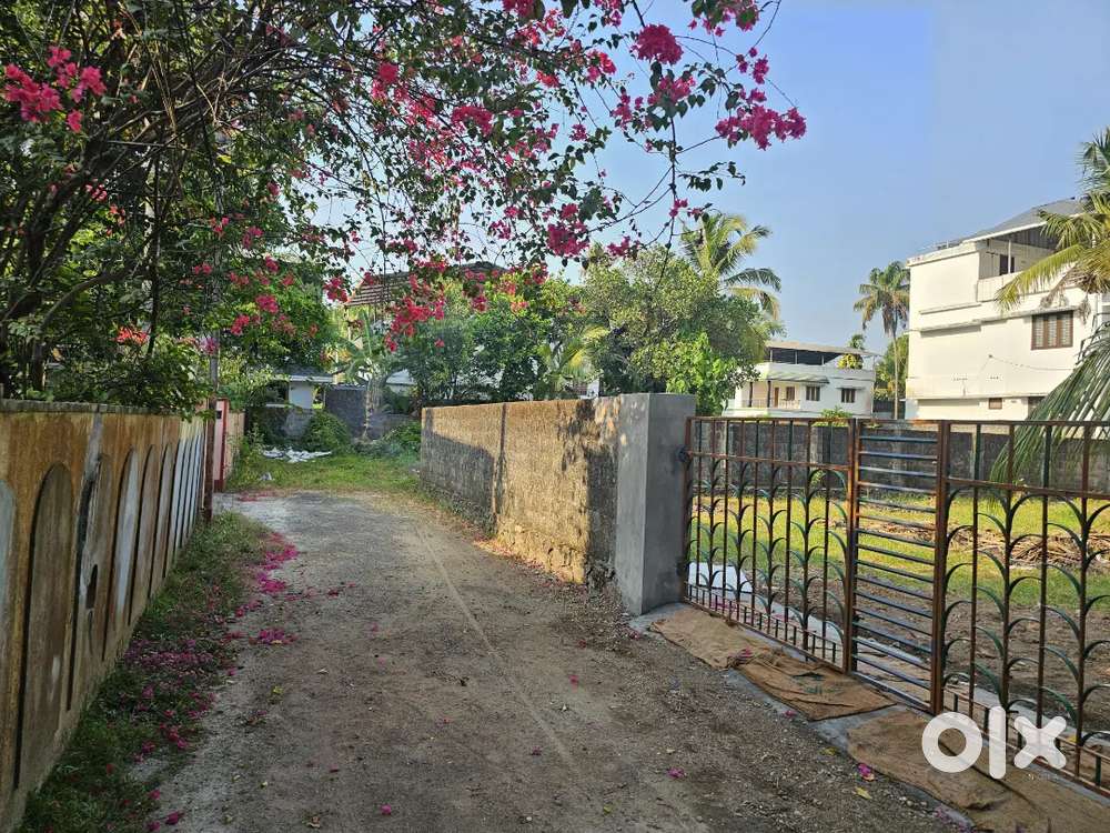 Good Residencial House Plot For Sale Vennala Palarivattom. Lands