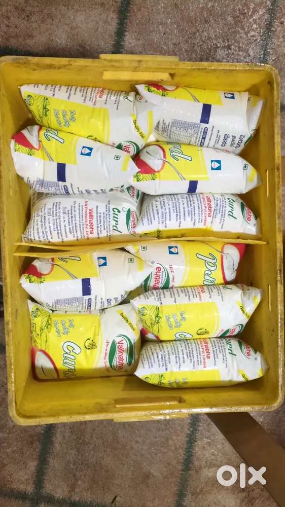MILK & Dairy Products for Catering & IT Companies etc