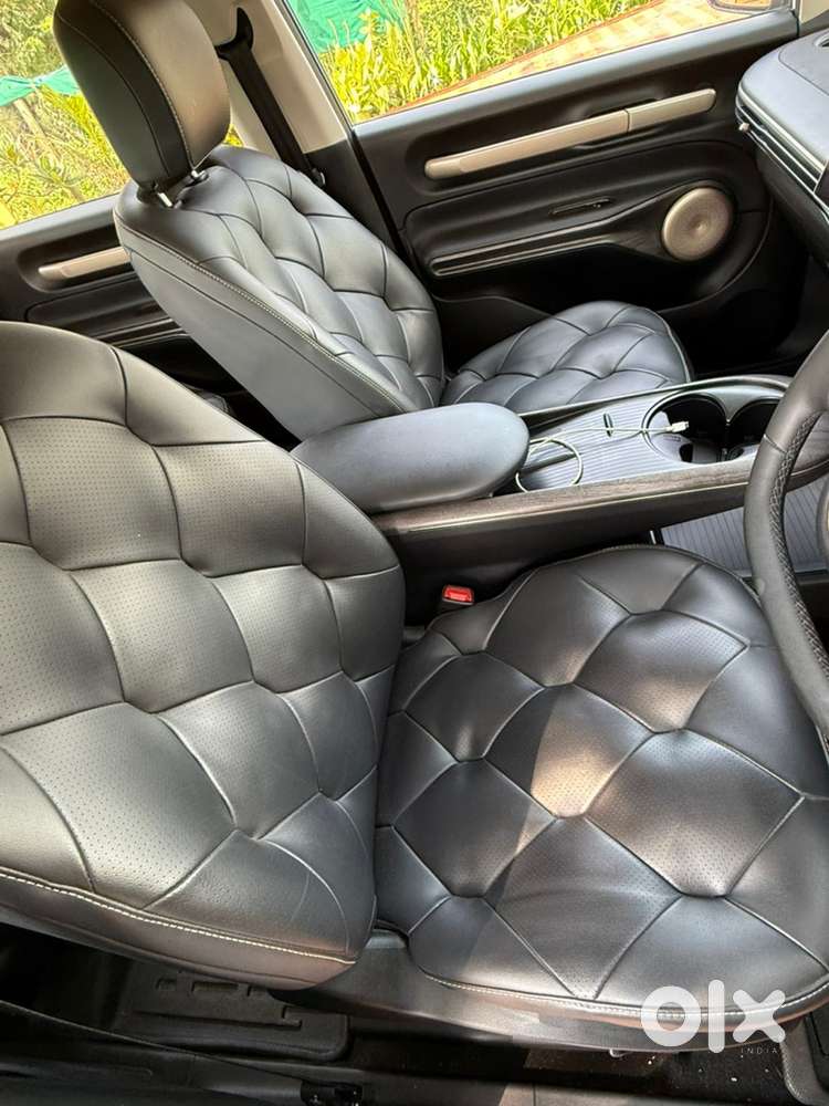 Mg Windsor Essence Ev 2024