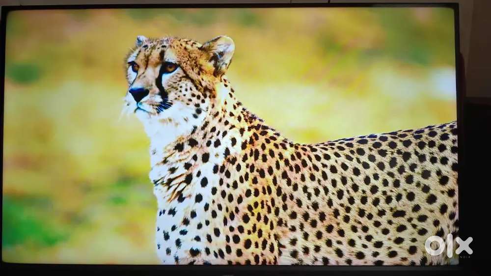 Acer 43 Frameless Ultra HD 4K Led Tv