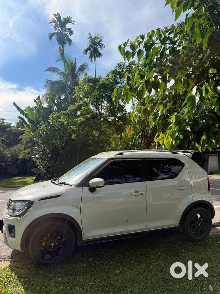 Maruti Suzuki Ignis Petrol 2024