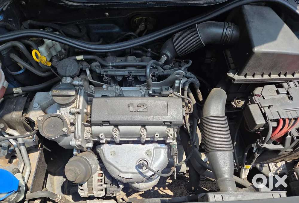 Polo Comfort Line Complete Showroom Maintaince