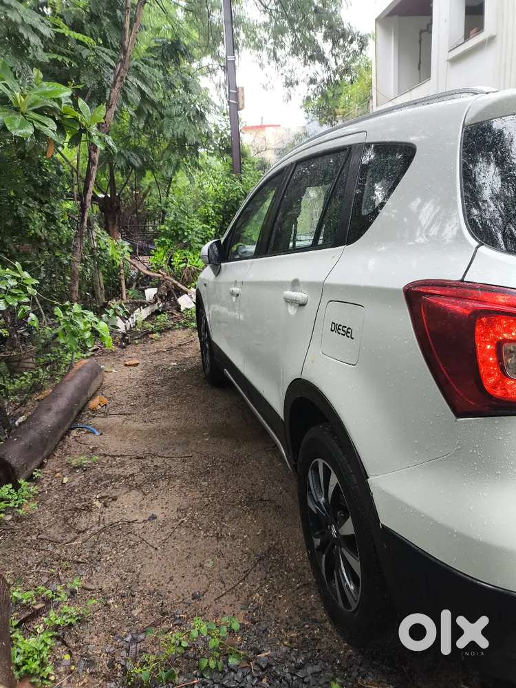 S-cross Top Model