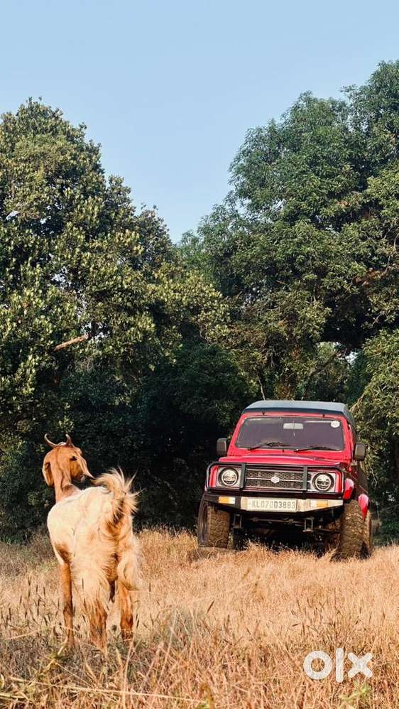 Maruti Suzuki Gypsy 2007 Petrol Modified