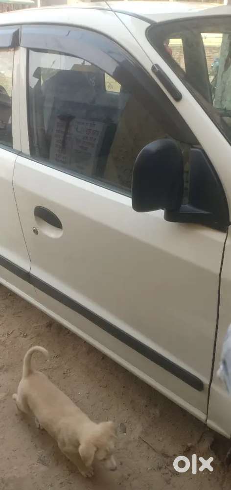 Hyundai Santro Xing 2013 Cng Hybrid Manual