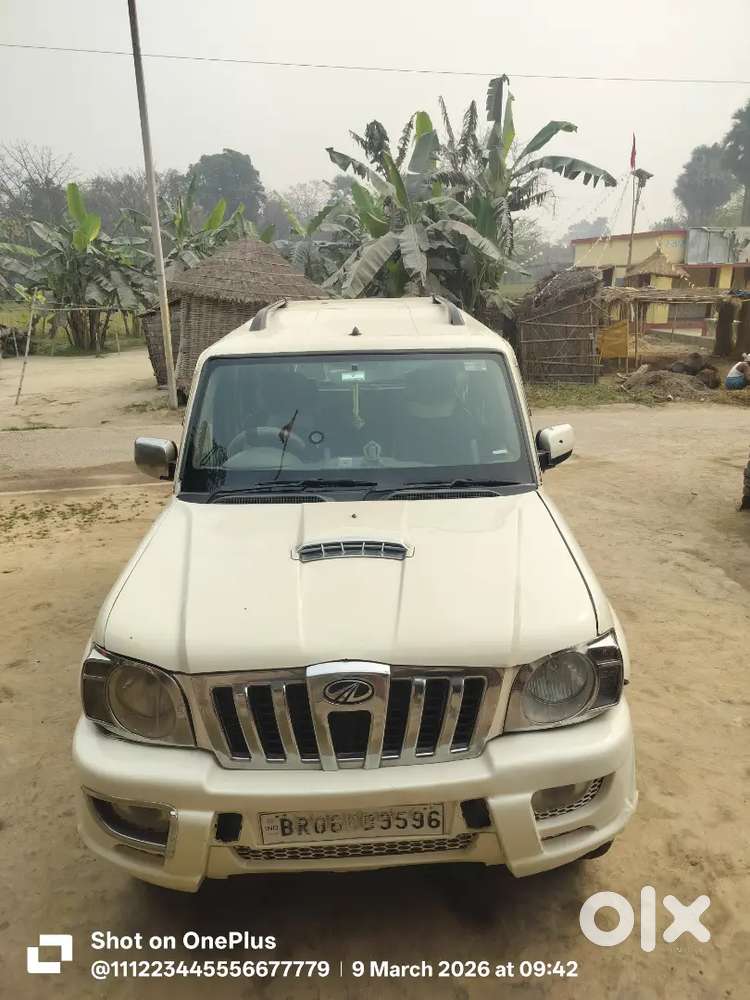 October 2013 Sle Scarpio