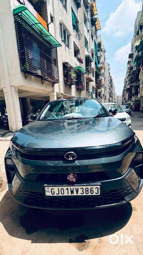 Tata Nexon 2025 Petrol Well Maintained