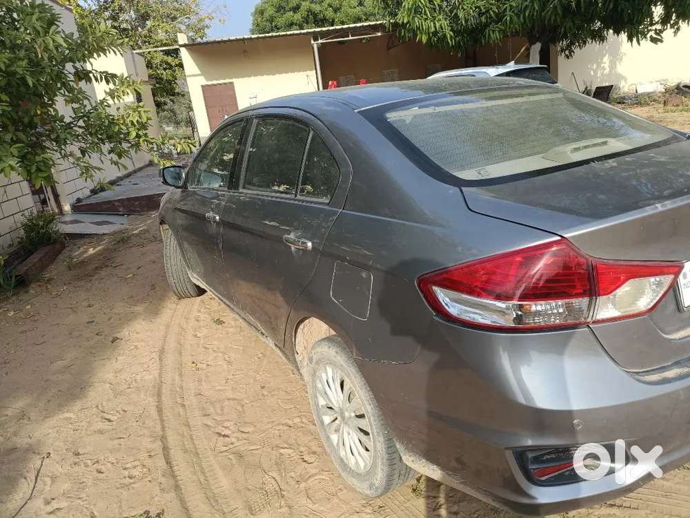 Ciaz Zdi Shvs