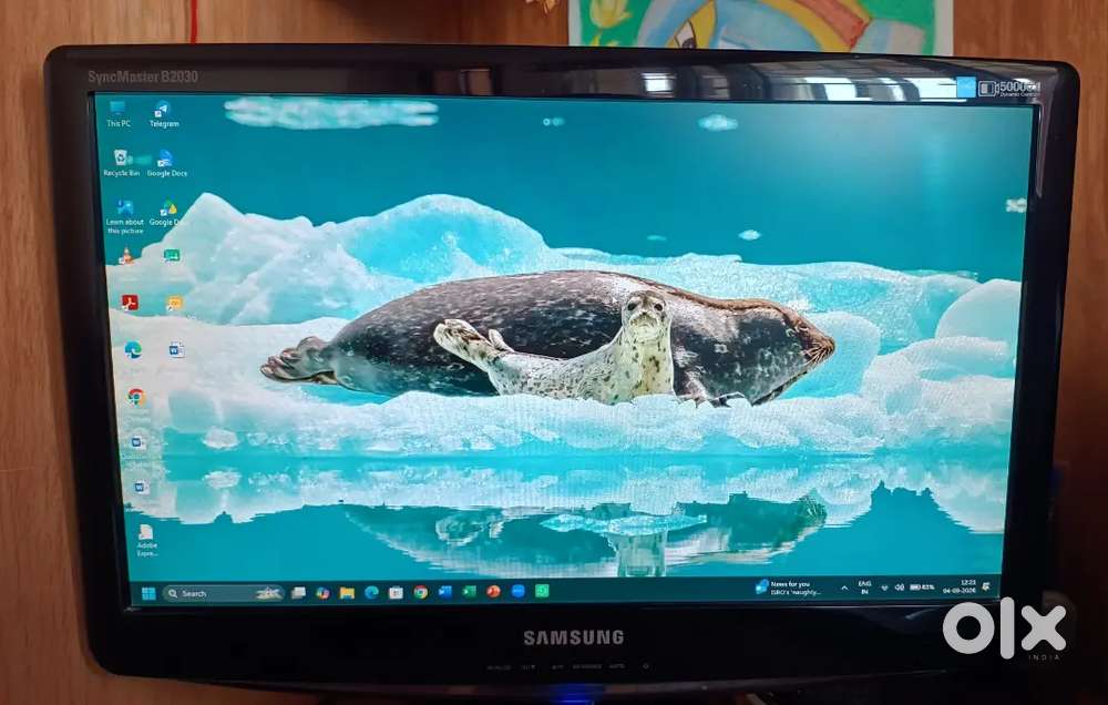 Samsung Widescreen Display Monitor