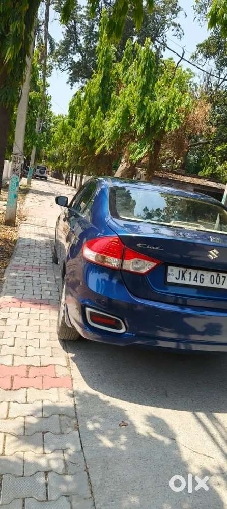 Maruti Suzuki Ciaz 2019 Petrol Good Condition Hybrid