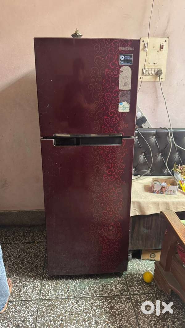 SAMSUNG 253L Double Door Fridge