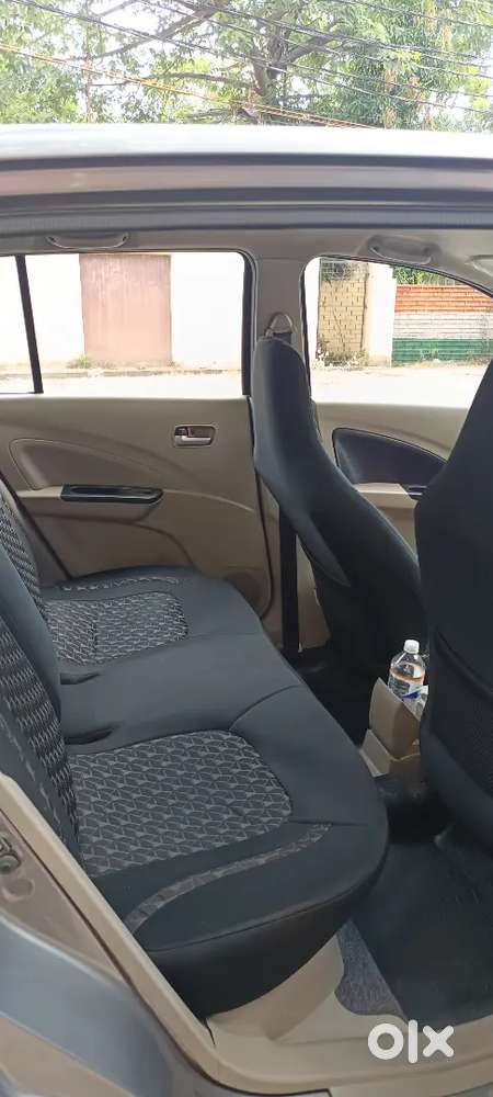 Maruti Suzuki Celerio 2014 Petrol Well Maintained