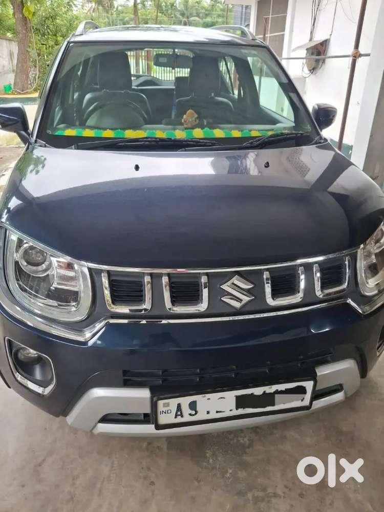 Maruti Suzuki Ignis  Alpha 2023 Petrol 38000 Km Driven