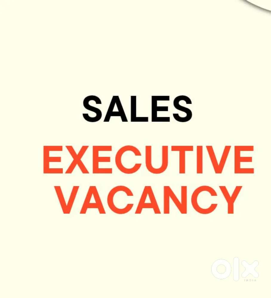 SALES EXECUTIVE 
JOB VACANCY