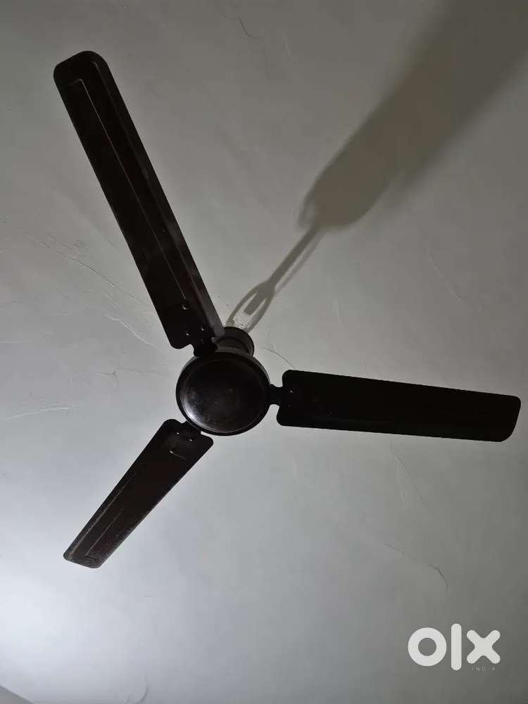 Ceiling fan