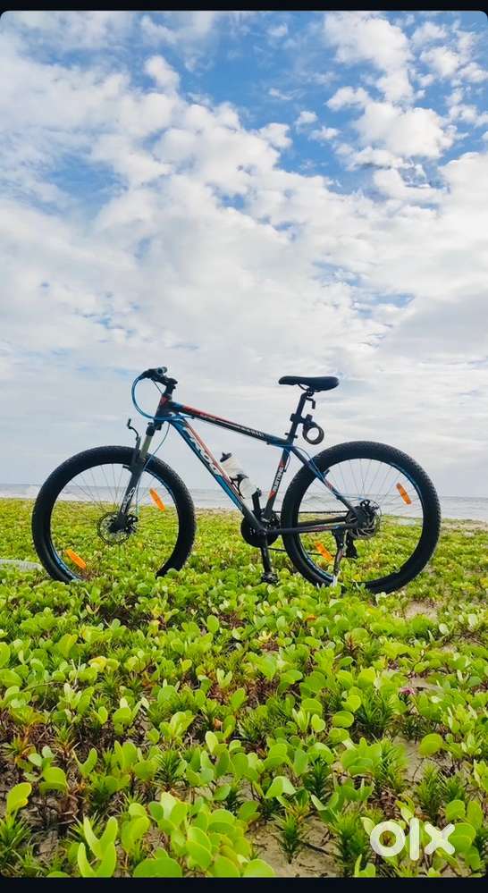 Frog Mustang 29T Mountain Bike 21 Gear Dual Disc Less Used