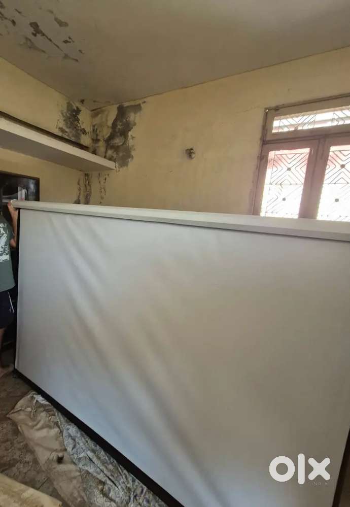 Projector Screen