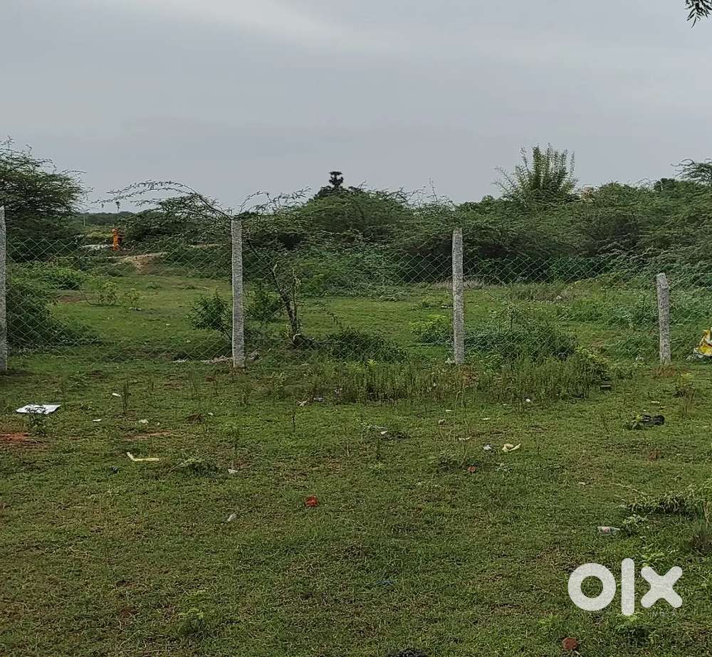 Empty Land for rent - Lands & Plots - 1824757403