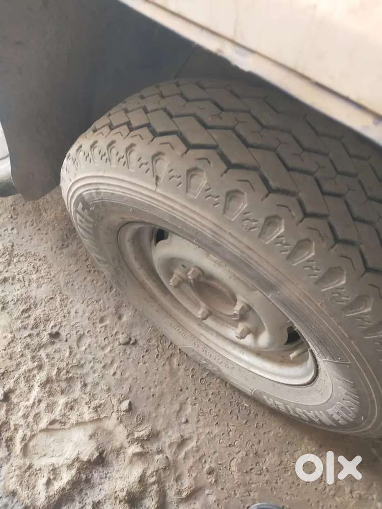 Sumo Gold Good Condition