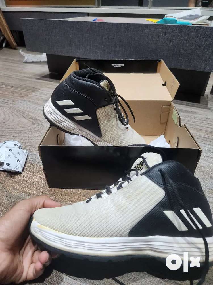 Adidas hoopster 2024