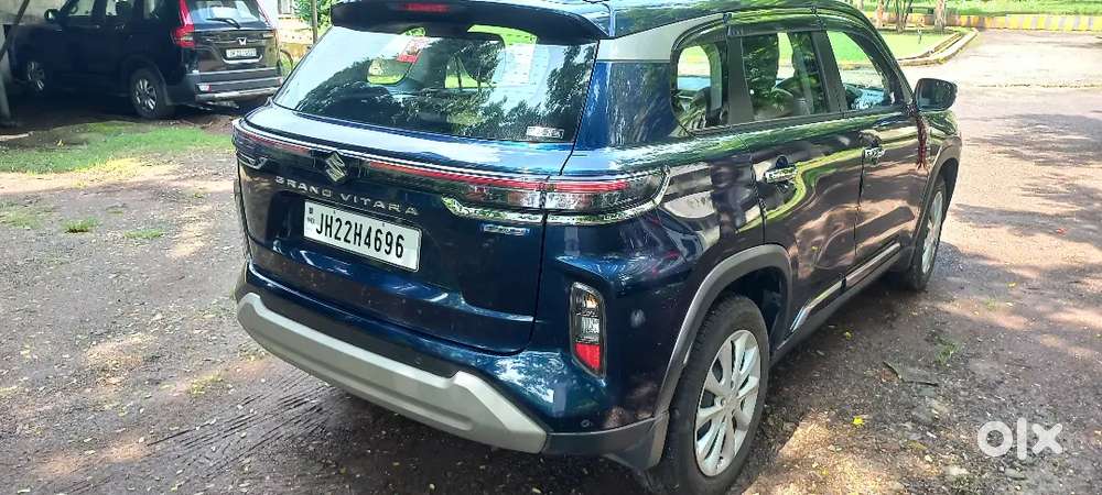 Maruti Suzuki Vitara 2024 Brand New Delta Sigma Hybrid Model