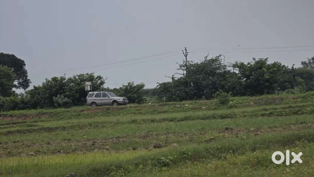 Tata Safari Dicor 2008
