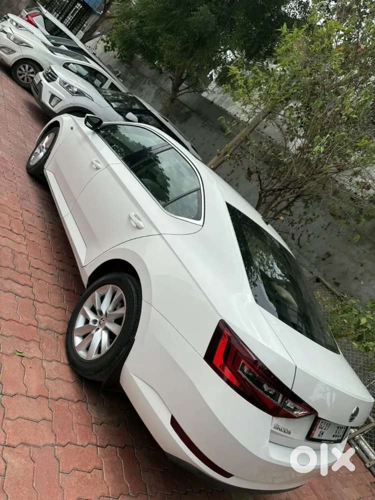 Superb In Superb Condition Like New